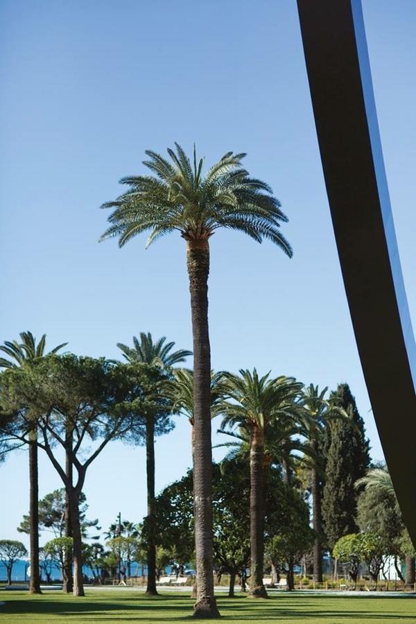 Le Colonna - Grand Studio En Duplex, Refait A Neuf, Vieux-Nice Old Town Apartment Exterior photo